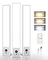 EZVALO 3 Pack Under Cabinet Lighting, 2400mAh Rechargeable Motion Sensor Light, 10inch Magnetic Closet Lights with Dimmable & 3 Color Temps, Wireless Motion Activated Lights with Remote for Kitchen