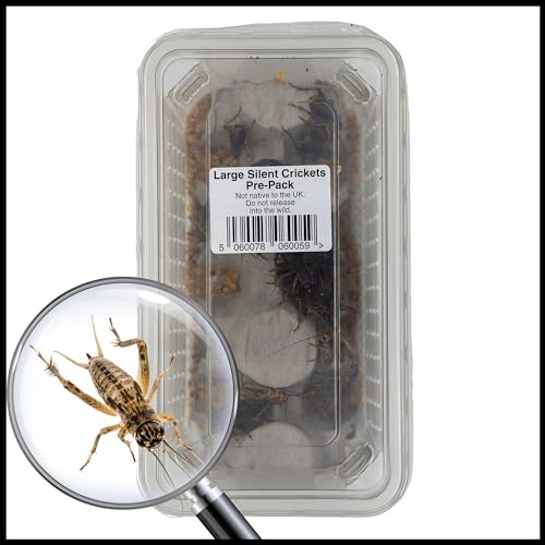 How to capture crickets How to capture crickets