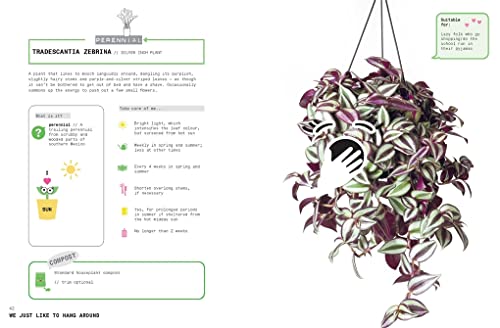 Grow Your Own Pet Plants: A Cute Guide to Choosing and Caring for Your Leafy Friends - Image 5