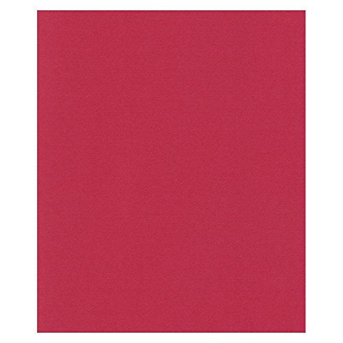 エスケント ケント紙 スターカラー 四切 スカーレット 100枚 5753004