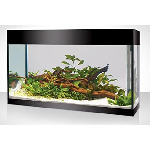 Askoll Aquarium XL Absolute Schwarz Cover