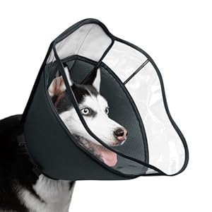 Mayerzon Weiche Halskrause Hund mit Leckschutz