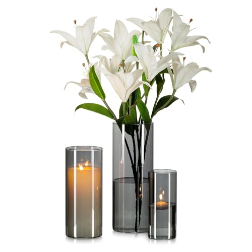 Glasseam Grau Glasvase Zylinder Vase Rund: 3er Moderne Glasvasen ...