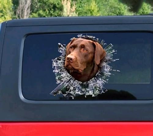 GENMIP 2pcs pour Animaux De Compagnie Autocollants Amusants 20 * 20cm