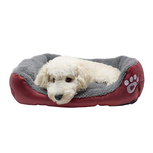 9 Best Dog Beds for Pitbulls in [2024] PetStruggles