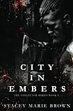 City in Embers (Collector Series Book 1)