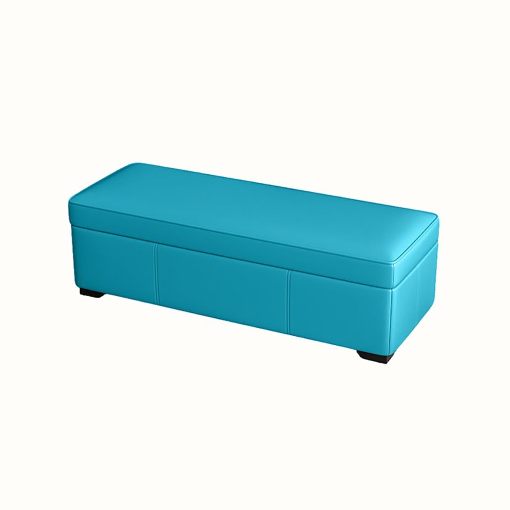 SXZenSpace Storage Benches End Of Bed Bench Large Upholstered Ottoman Leather Window With Shoe Cabinet For Bedroom Entryway Closet(Light blue,70x40x40cm)