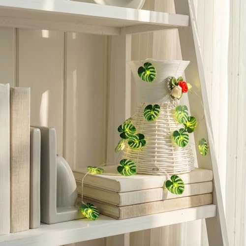 HHMTAKA Ghirlanda luminosa con 30 luci LED a batteria, 3 m, luce bianca calda, per casa, cucina, giardino, ufficio, matrimonio, decorazione da parete (felce tartarugata)