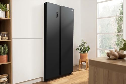 Kühlschrank Gorenje NRR9185EABXL
