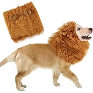 Peluca Leon Perro. Disfraz Perro Halloween Y Carnaval. Disfraces para Perros Pequeños Medianos O Grandes. Disfraz Mascota. Deja Que Tu Fiel Amigo Hechice El Carnaval.
