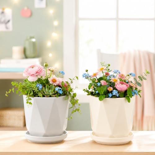 Image of Xtore Refined Geometric Ceramic Planter Set of 2 with Saucers for Home & Office Decor | Faceted Indoor Flower Pots for Succulents, Herbs, Cacti, Living Room, Bedroom (Off-White, Light Grey)