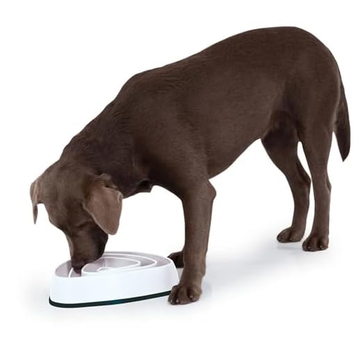 Edupet 06027AA Futternapf, Anti-schling Napf, Fressnapf, Feeder slow Eating, Slow Feeder, für kleine bis mittelgroße Hunde, 300ml, Durchmesser: 21 cm, beige