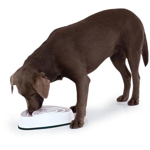 Edupet 06027AA Futternapf, Anti-schling Napf, Fressnapf, Feeder slow Eating, Slow Feeder, für kleine bis mittelgroße Hunde, 300ml, Durchmesser: 21 cm, beige