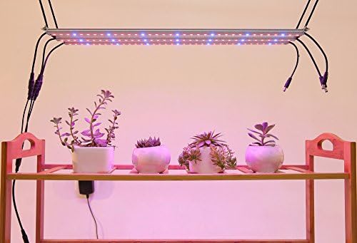 Ledy 3pcs 1.65ft/0.5M 5050 LED Strip Plant Flower Growing Grow Light Red Blue 4:1 with DC 12V 3A Power Adapter