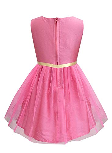 Image of A.T.U.N. (All Things UBER Nice) Girls Fit and Flare Embroidered Sleeveless Knee Length Dress for Party and Special Occasions