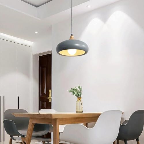 Lustre suspension E27 en métal naturel pour éclairage d'allée - 2