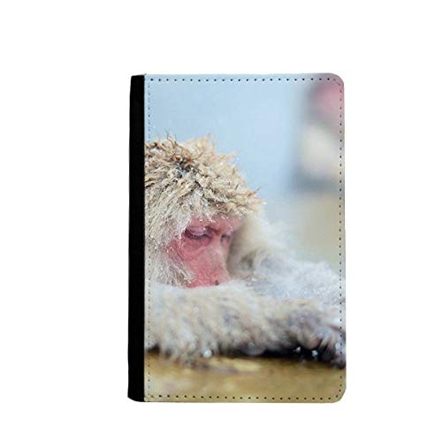 Passeport voyage étui singe multicolore portefeuille billets pochette 3.7x5.8
