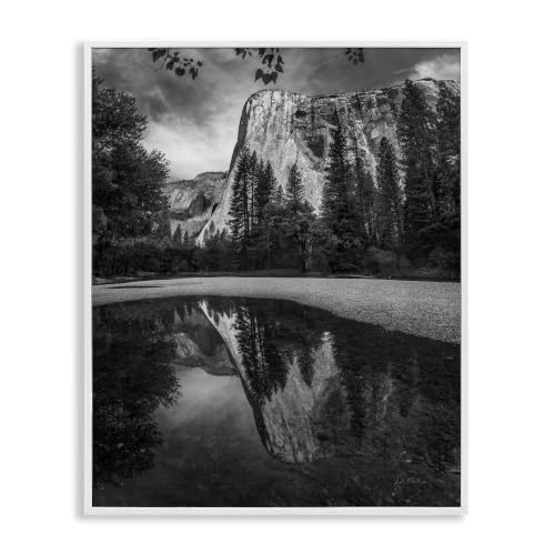 Yosemite Wildlife Nature Reflection, 11 x 14 Inch Framed Giclée Print
