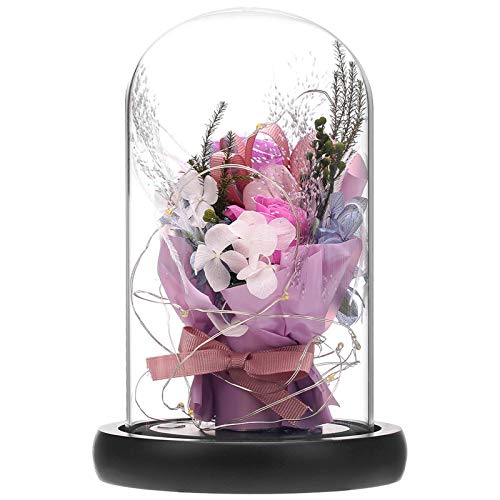 ANLUNOB Fiore Fresco conservato con Luce a LED Rosa per Sempre Fatta a Mano Regalo Rosa in Cupola di Vetro Regali di Bellezza e Bestia per la Festa della Mamma San Valentino Giorno di Natale