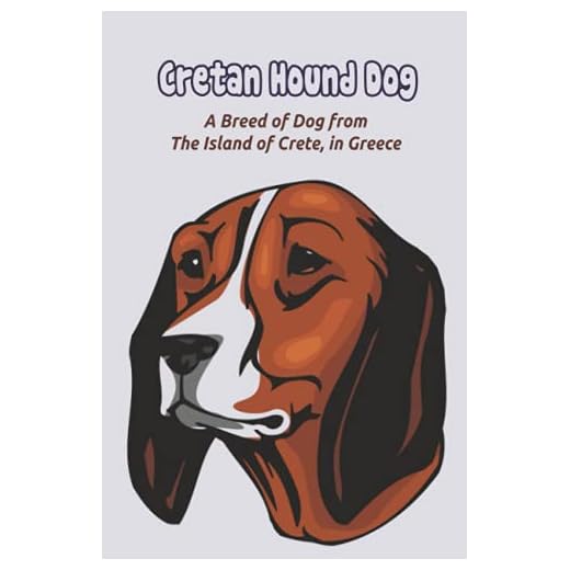 Cretan Hound Dog: A Breed of Dog from The Island of Crete, in Greece: How Well Do You Know About Cretan Hound Dog?