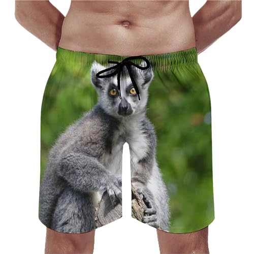 Shorts de bain homme lémurien séchage rapide swim trunk poches S