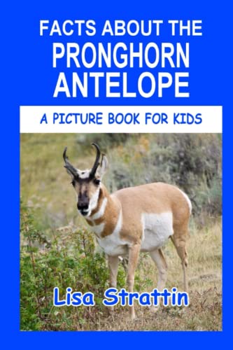 Facts About the Pronghorn Antelope