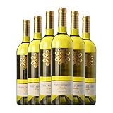 Muriel Pazo Cilleiro Albariño Rías Baixas 75 cl Vino blanco (Caja de 6 Botellas de 75 cl)