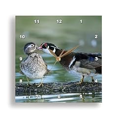 3 d Rose DPP 89052 3 Florida. Wood Duck interacts with Young Offspring US 10 BJA 0174 Jaynes 3 d Rose DPP 89052 3 Florida. Wood Duck interacts with Young Offspring US 10 BJA 0174 Jaynes review