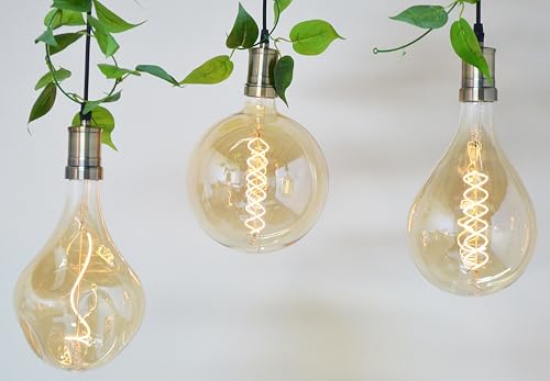 Oversized Decorative LED Light Bulb 6W 600LM E26 Dimmable 2200K, 1 Pack by SDLUXBULB - Used condition - Image 9
