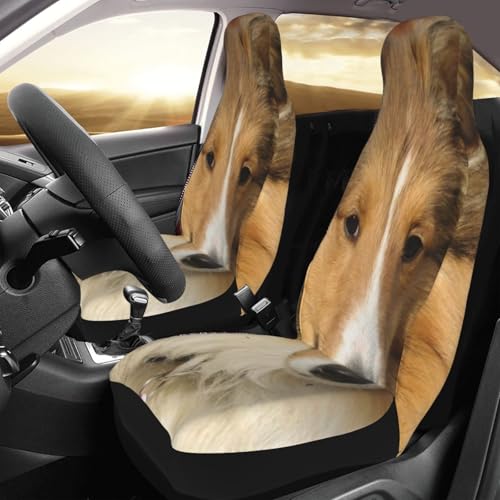 Funda de asiento de coche para perros Sheltie universal y protectora 3