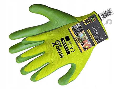 12 paires Nitrox Gants Latex, menthe