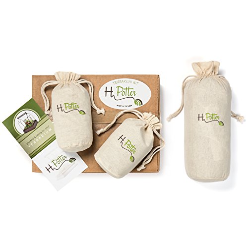 H Potter Terrarium Kit Large Includes Premium Live Moss and Planting Instructions Also use Supplies for Garden Pots, Succulents and Planters