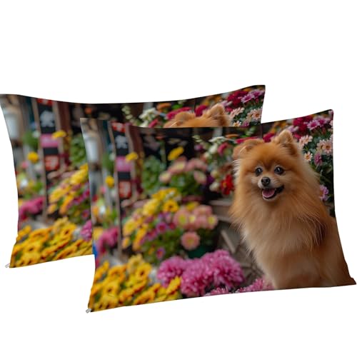 Parure de lit 90x190 animal Poméranien microfibre douce infroissable avec zip