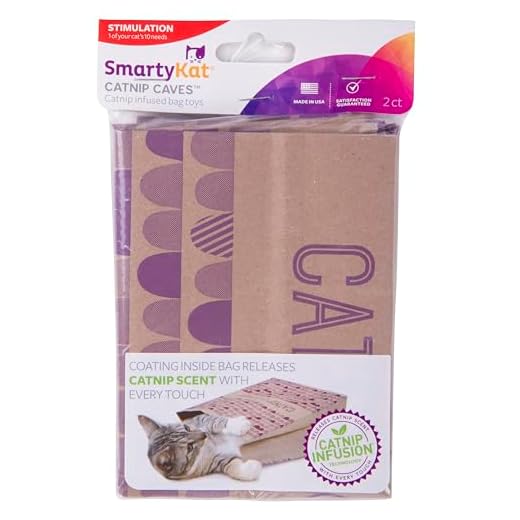 SmartyKat (2 Count) Catnip Caves Catnip Infused Bag Cat Toys - Brown, 2 Count