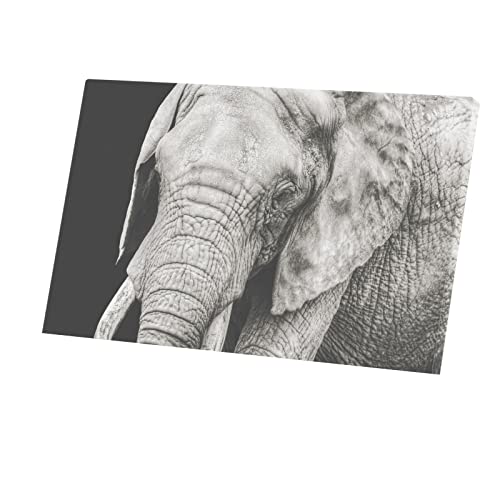 Tableau Éléphant Toile Imprimée de 96x60 cm pour Décoration Murale