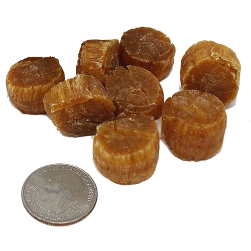 Dol Natural Sun Dried Top Graded Japan Scallop Conpoy ホタテ貝 日本大干贝 瑶柱淡干 扇贝海鲜干 Grocery & Gourmet Food Meat & Seafood Seafood Dried Seafood Dried Scallops (Large 8Oz/Bag) #TOP2