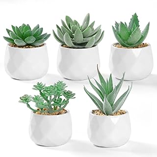 LOMOHOO Artificial Succulent Plants in White Ceramic Pots,5pcs Fake Small Fake Plants,Faux Mini Succulents Plants Indoor for Desk Windowsills Office Home Decoration