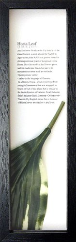 [tpl nfBAt[^/X̂ zX^[t1iubNj/ G Ǌ| ̂