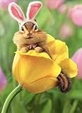 Chipmunk Bunny in Tulip Easter Card