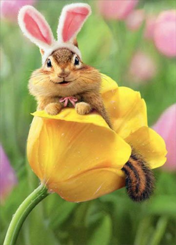 Chipmunk Bunny in Tulip Easter Card