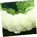 Hemoton Warm Bird Nest for Parrots Parakeet Bed Bird Nesting Box Mounting Hardware Cockatiel Nesting Bed Soft Comfortable