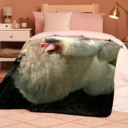 Couvertures chaudes et douces en microfibre plaid chien - 8
