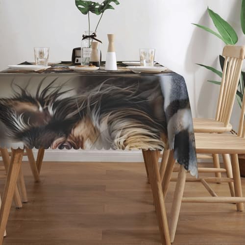 KINGWW Langhaarige Chihuahua Langhaarige Chihuahua Anti-Fett Quadratische Tischdecken für rechteckige Tische, wiederverwendbare und waschbare Tischdecken, Polyester-Stoff-Tischdecken