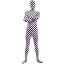 Checker