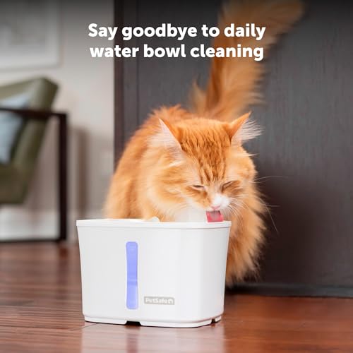Petsafe PWW00-17919 Viva Pet Water Fountain For Cats And Small Dogs thumb #1