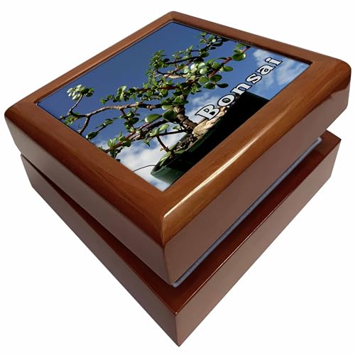 3dRose Bonsai with text portulacaria afra, Jewelry Box jb-156206-1