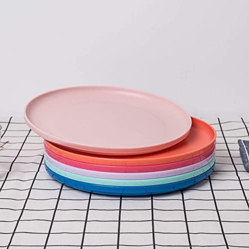 Unbreakable And Reusable 9.75-Inch Plastic Dinner Plates, Set Of 6 Multicolor, Dishwasher Safe, Bpa Free #TOP4