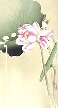 41cLcJDeFqL._AC_UF350,