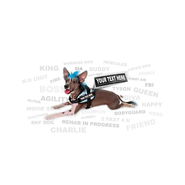 Julius-K9 IDC Powerharness for Dogs with Two Free Custom Patches, Dark Pink Size 2, XL/Size 2 (chest: 28-37.5 inches ) Julius-K9 IDC Powerharness for Dogs with Two Free Custom Patches, Dark Pink Size 2, XL/Size 2 (chest: 28-37.5 inches )