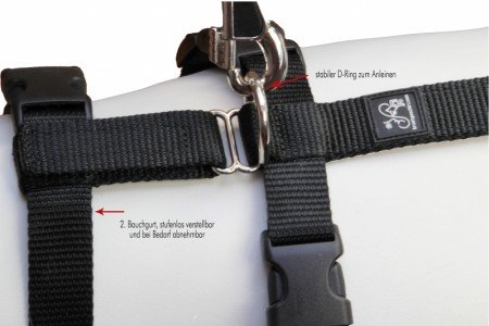 Feltmann NoExit Brustgeschirr ausbruchsicher, Soft, Uni Schwarz, 40-60cm, 15mm